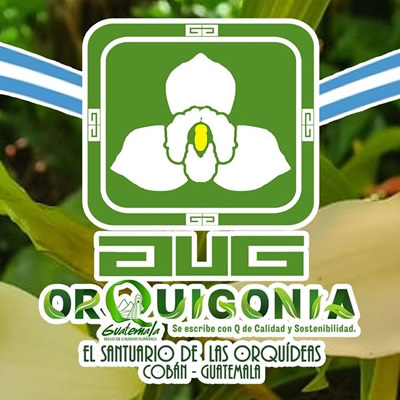 Logo Oriquigonia